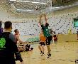 Bildname: cc.rbh.ne19_(1237).jpg